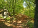 barbelay1